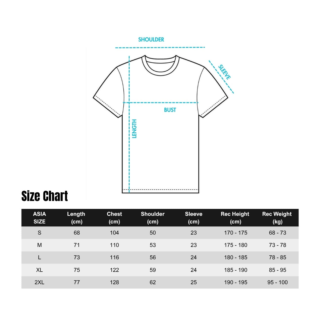 T-Shirt 300g (Dark Oversized)